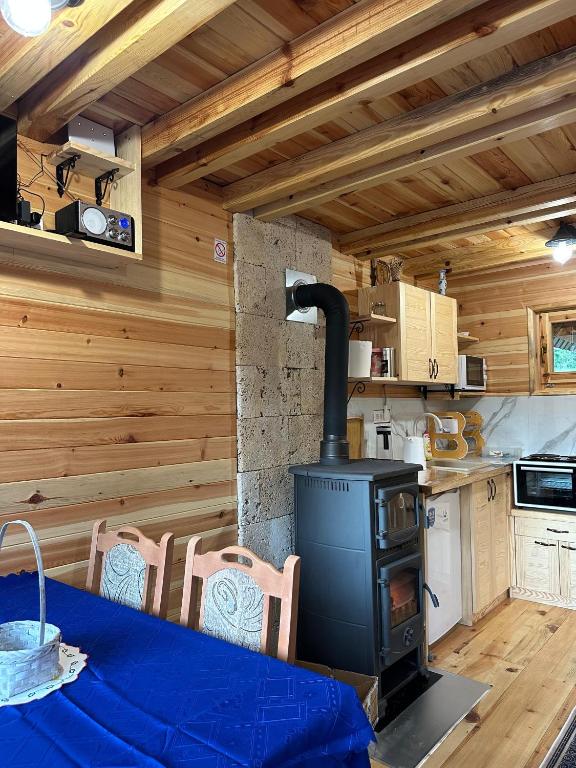 Enterijer brvnare Panda na Tari