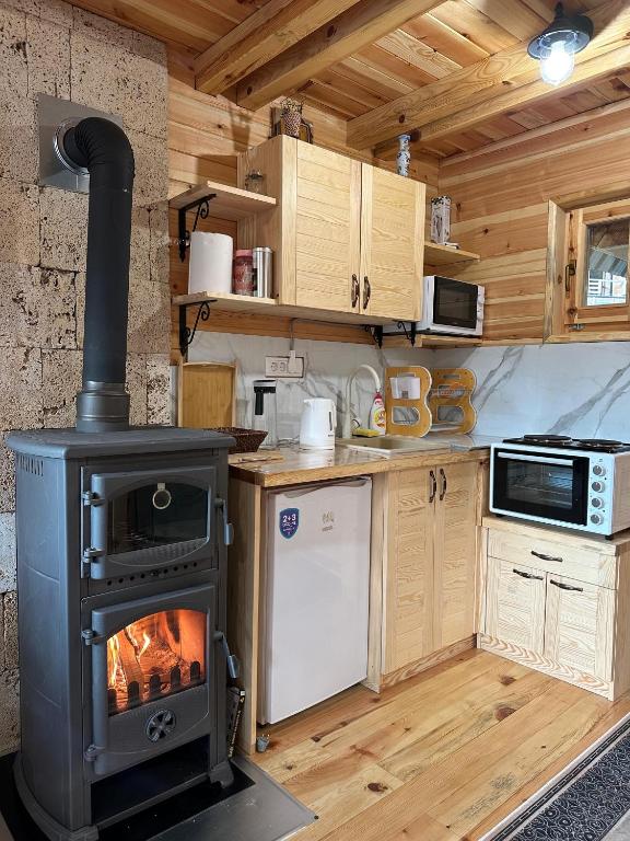 Enterijer brvnare Panda na Tari