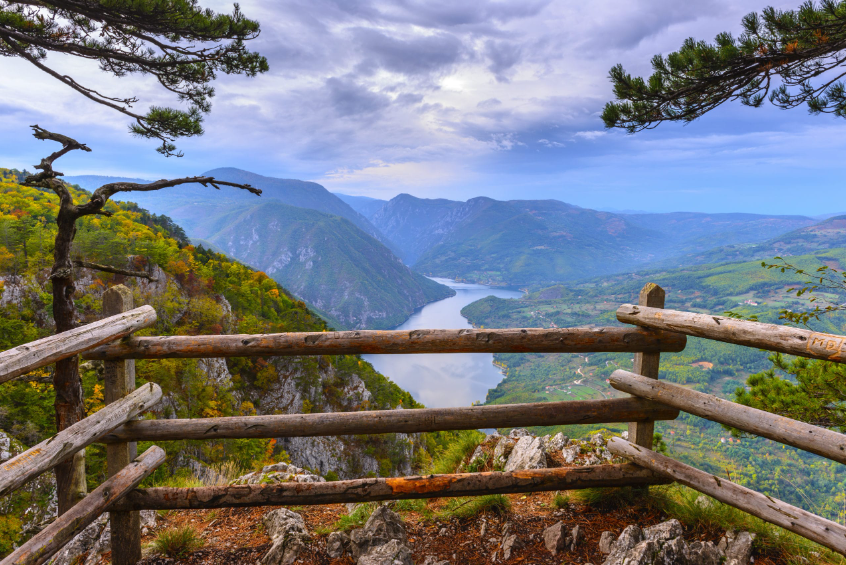 Top 5 Vidikovaca na Tari: Koje rute izabrati za najlepše fotografije.