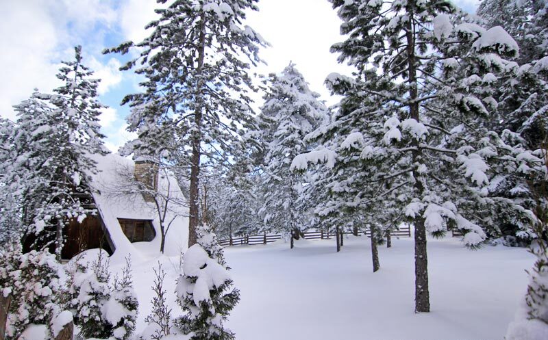 Zimska idila na Tari: Najbolje staze za sankanje i pešačenje.